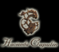 Hotel Hacienda el Capulín